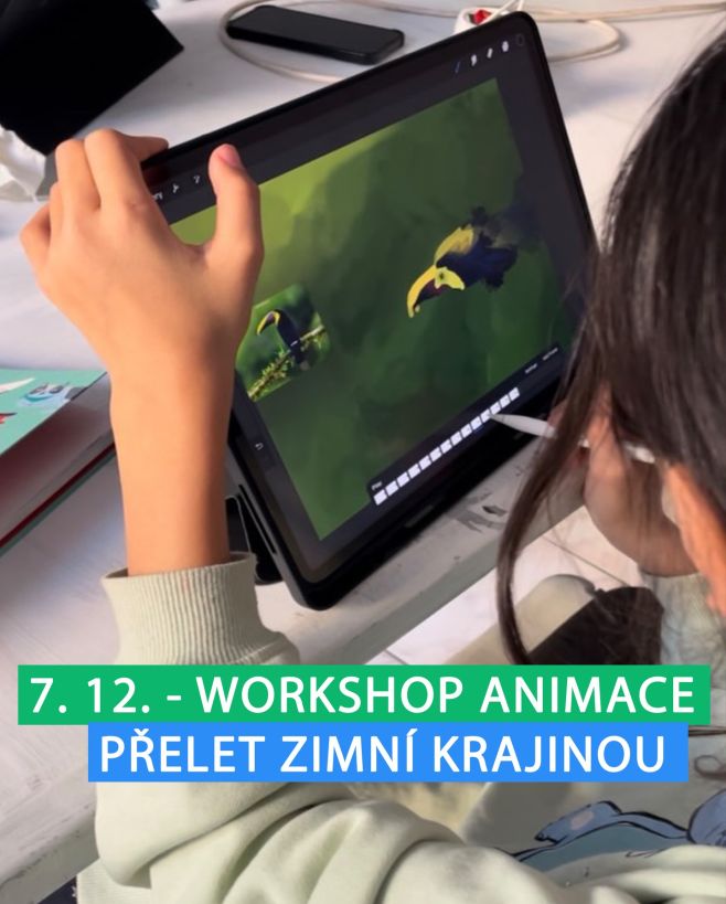 Dorazte 7. 12. ve 13:30 na workshop animace Přelet zimní krajinou s @pattricia_studio @patricia.art.craft⁠ ⁠ Během...