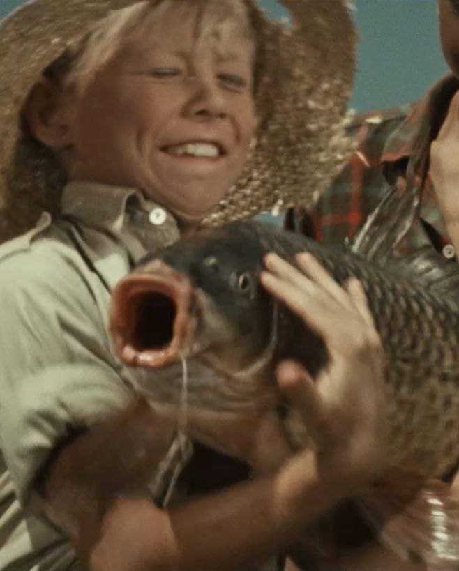 Lepší kapr v hrsti, než losos na střeše! Souhlasíte? 😄⁠ ⁠ Přejeme vám klidné prožití vánočních svátků 🎄💫🎬